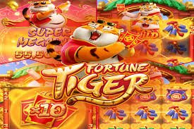 24nokri Sportsbook Markets